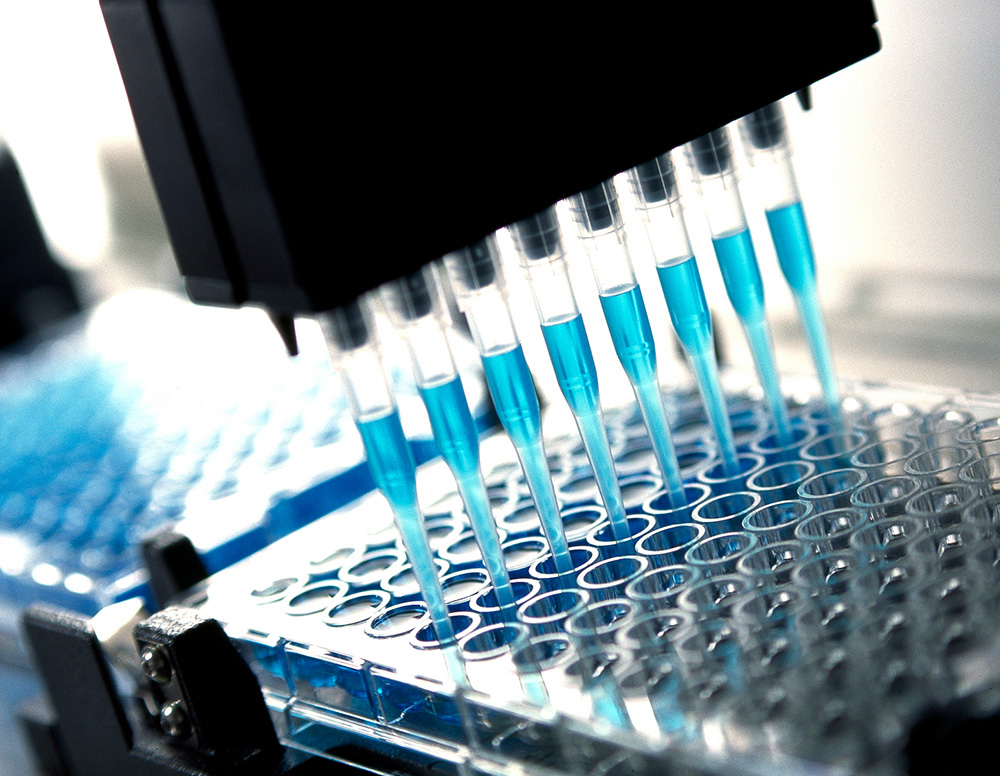 Development 開発支援サービス