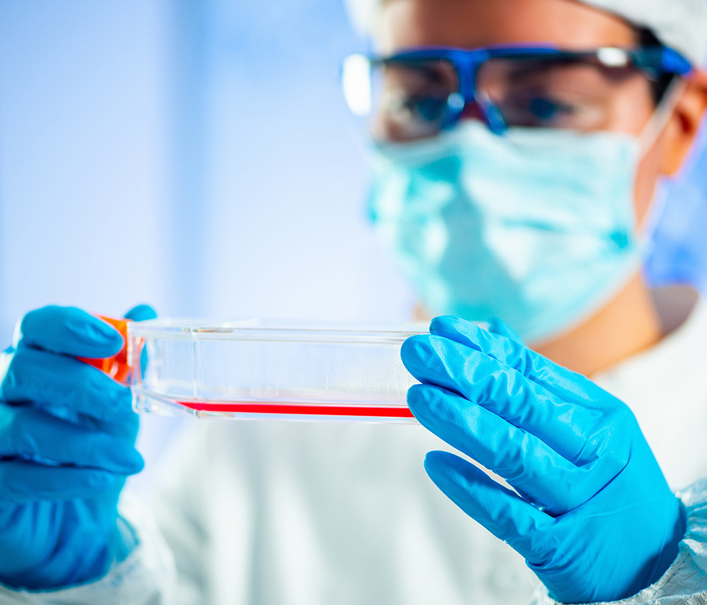 Regenerative Medicine 再生医療関連サービス